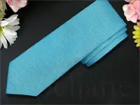 在飛比找Yahoo!奇摩拍賣優惠-Calvin Klein Tie CK卡文克萊 亮水藍色 素