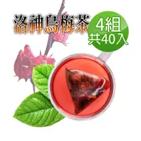 在飛比找PChome24h購物優惠-【蔘大王】洛神烏梅茶包X4組（6gX10入/組）促進新陳代謝