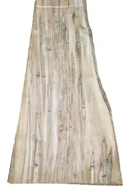 Maple Spalted Ambrosia Wormy wood veneer 10" x 28" raw no backer 1/42" thickness