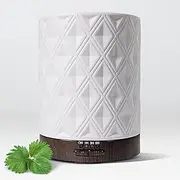Earnest Living 250ml White Ceramic Essential Oil Diffuser with Timers, Night Lights and Auto Shut-off Function for Home, Office, Aromatherapy