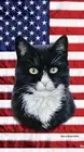 Tuxedo Black/White Cat Patriotic Beach Towel