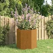 Raised Garden Bed, Elevated Planter Box Plant Container Rusty 40x40x45 cm Corten Steel
