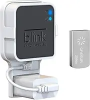 256GB Blink USB Flash Drive for Local Video Storage with The Blink Sync Module 2 Mount (Blink Add-On Sync Module 2 is NOT Included)