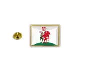 pins pin's flag national badge metal lapel hat button vest cardiff