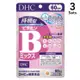 [DOKODEMO] 【3入組】DHC 持續型 維他命B群 60天份 120粒