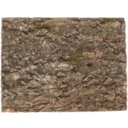 Bark Background Decoration Cork Wood for Terrarium Reptile Tank Accessories