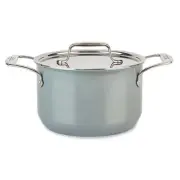 NEW All-Clad Fusiontec Stockpot Platinum 6.5L