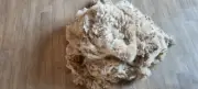 Rockleigh Alpacas - Alpaca Fleece - White - Gypsie - 1200g