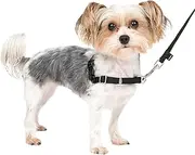 PetSafe Easy Walk No-Pull Dog Harness - The Ultimate Harness to Help Stop Pulling - Take Control & Teach Better Leash Manners - Helps Prevent Pets Pulling on Walks, Petite/Small, Black/Silver