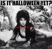 Cassandra Peterson "Elvira" "Mistress of the Dark" SEXY "Pin-Up" PHOTO! #(184)
