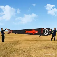 在飛比找蝦皮購物優惠-風箏 新款銀鱗鯉魚七彩魚大金魚大鯉魚風箏 大型風箏 綫輪風箏