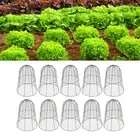 10 Packs Black Chicken Wire Cloche Thickened Garden Plant Protector Cover