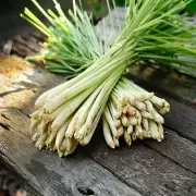 Lemongrass Fragrance Oil Candle/Soap Making Supplies **Free Shipping**