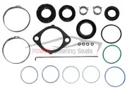 POWER STEERING RACK AND PINION SEAL/REPAIR KIT FITS HYUNDAI ACCENT 2006-2010 (for: Hyundai)