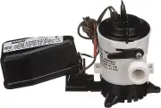 Seachoice Automatic Bilge Pump w/Float Switch, 500 GPH, 3/4 in. Hose Size