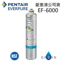 在飛比找有閑購物優惠-【台灣愛惠浦】EF-6000 EF6000 濕式碳纖活性碳 