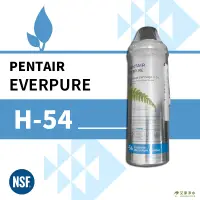 在飛比找蝦皮購物優惠--艾家淨水-【附發票】美國 EVERPURE H-54 / 