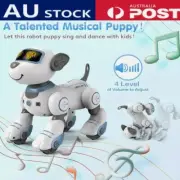Blue RC Educational Robot Smart Dog Electronic Remote Control Puppy Toy Kid Gift