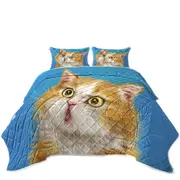 Cats Cute Faces Drawings Wondering Ginger Kitten Coverlet