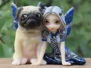 Strangeling Fairies ~ Pug Pixie - Jasmine Becket-Griffith