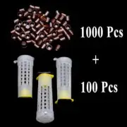 1 SET Beekeeping Tools Queen Rearing System Cultivating Box Protective Cage