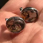 Natural Sericho Pallasite Meteorite Ovate Perfect Earrings 925 Silver Frame Pair