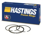 Hastings 2C5112S Engine Piston Ring For Select 02-16 INFINITI Nissan Models (for: Nissan)