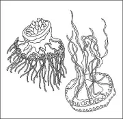 Rug Hooking Pattern " TWO JELLY FISH" on natural linen