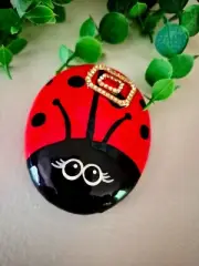 Lady Bug Rock, Get Well Gift, Ladybug Rock, Hand Painted Rock, Friendship Gift