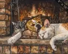 Boxer and Cornish Rex cat resting by the fireplace water 8x10 Print