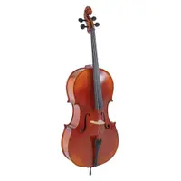 在飛比找蝦皮商城優惠-【路得提琴】澳洲KG大提琴400號4/4[二手]編號048