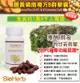 【碧荷柏】薑黃磷脂B群軟膠囊(30顆)/瓶 (3.9折)