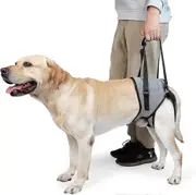 Large Dog Sling for Elderly Disabled Dogs, Dog Lift Harness Hind Leg Support, Dog Lifter for Arthritis ACL Rehabilitation Rehab