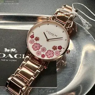 COACH手錶,編號CH00202,36mm玫瑰金圓形精鋼錶殼,白色中二針顯示, 山茶花錶面,玫瑰金色精鋼錶帶款,山茶花經典款