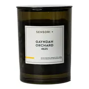 [SENSORI-PLUS] Air Detoxifying Aromatic Soy Candle Gayndah Orchard 4625