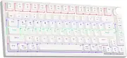 NEWMEN GM326 75% Mechanical Gaming Keyboard,Wird RGB blacklit TKL Keyboard (RED Switch-White KEYCAPS)