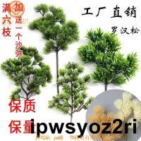 在飛比找蝦皮購物優惠-【臺中最熱銷】仿真松樹葉仿真松樹枝葉假松針榕樹崖柏羅漢美人松