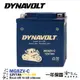 DYNAVOLT 藍騎士 MG8ZV-C 奈米膠體電池 免運贈禮 機車 YTX7L-BS 小黃蜂 V (6.5折)