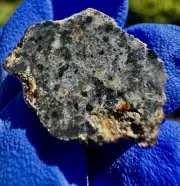 meteorite: Bechar 006 Weight 1.702 Grams. Beautiful Lunar