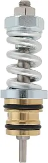 EMSea 1-Piece Discharge Valve Kit Replacement Part 310924003 Compatible with Troy-Bilt Compatible with Briggs Stratton Compatible with Homelite