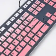Skin for Amazon Basics Low-Profile Wired USB Keyboard with US La Keyboard Cover