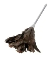 Oates Feather Duster