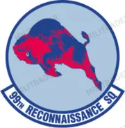 USAF 99th Reconnaissance Squadron Self-adhesive Vinyl Decal
