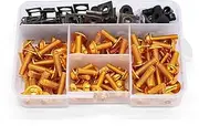 Motorcycle Full Fairing Bolts Kit Screws Fastener Clips Screw Nut for Y&amaha FZ1 FZ6 for Fazer XSR700 TDM900(Gold)