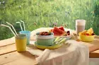 IKEA Picnic Party Birthday Full Set Reusable Cutlery Bow Plate Cup Spoon Fork