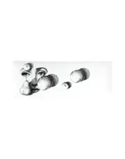 [FORNASETTI] FORNASETTI Trays and serving plates - Item 58062805
