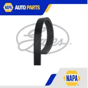 5 Rib Multi V Drive Belt fits FORD Gates 1370974 1563258 6M5Q6C301BA 6M5Q6C301BB