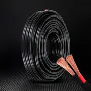 4MM Giantz 10M Twin Core Wire Electrical Cable Extension Car 450V 2 Sheath