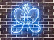 20" Anastasia Beverly Hills Acrylic Neon Lamp Sign Light Wall Decor With Dimmer