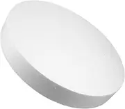 GOOHOCHY DIY Foam Circle Plate Christmas Balls Polystyrene Balls for Boys and Girls Party Favors